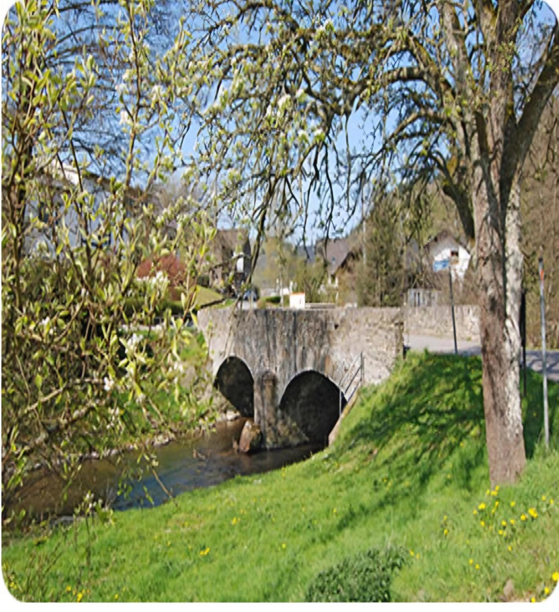 Zum Goldenen Tal Appartement Grafendhron Buitenkant foto